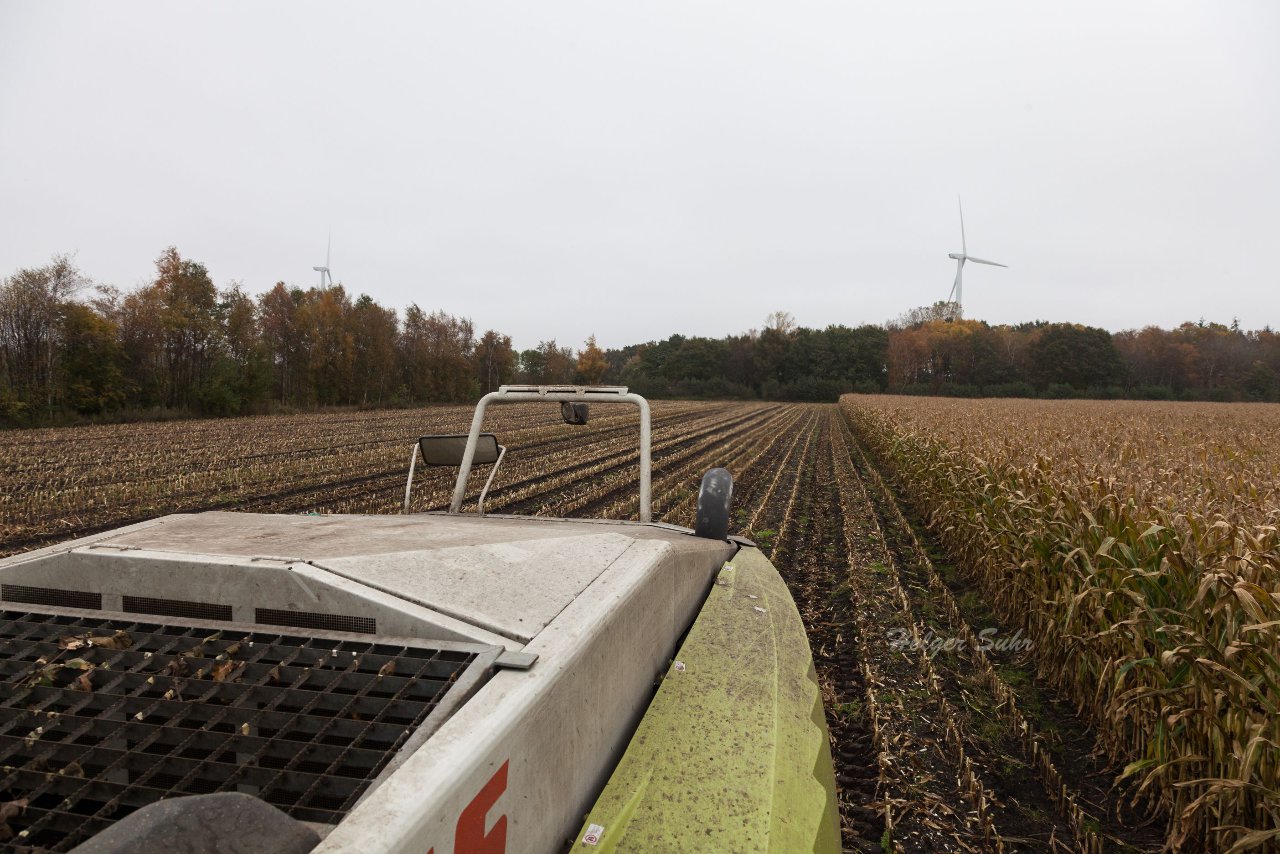 Bild 58 - Maisernte am 22.10.12